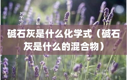 碱石灰是什么化学式（碱石灰是什么的混合物）