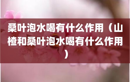 桑叶泡水喝有什么作用（山楂和桑叶泡水喝有什么作用）