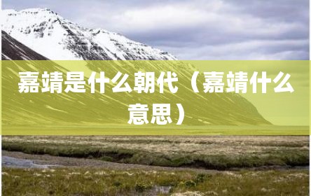 嘉靖是什么朝代（嘉靖什么意思）