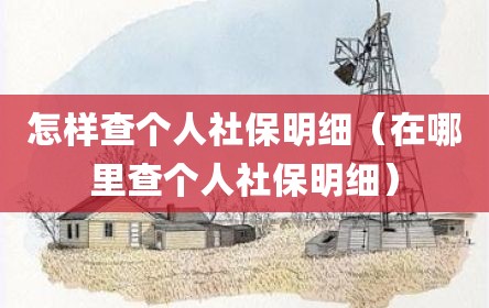 怎样查个人社保明细（在哪里查个人社保明细）