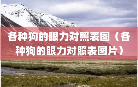 各种狗的眼力对照表图（各种狗的眼力对照表图片）