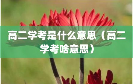 高二学考是什么意思（高二学考啥意思）