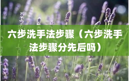 六步洗手法步骤（六步洗手法步骤分先后吗）