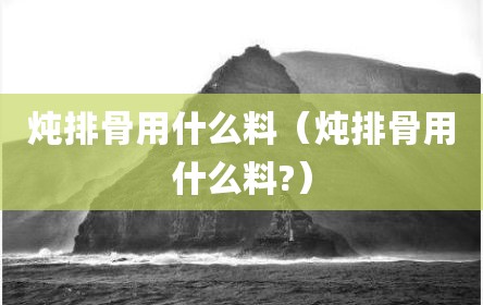 炖排骨用什么料（炖排骨用什么料?）