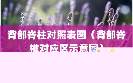 背部脊柱对照表图（背部脊椎对应区示意图）