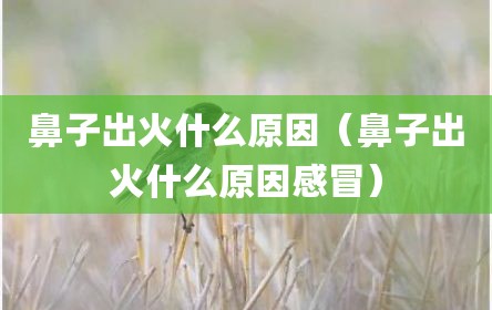鼻子出火什么原因（鼻子出火什么原因感冒）