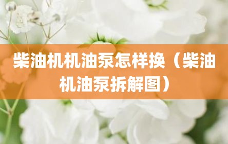 柴油机机油泵怎样换（柴油机油泵拆解图）