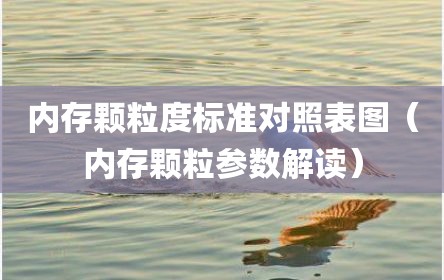 内存颗粒度标准对照表图（内存颗粒参数解读）