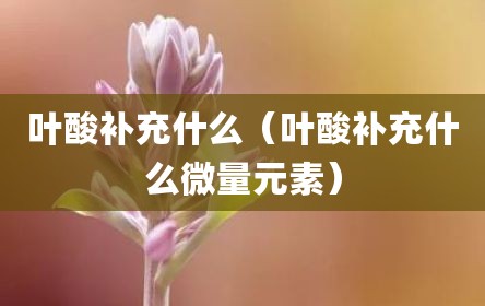 叶酸补充什么（叶酸补充什么微量元素）