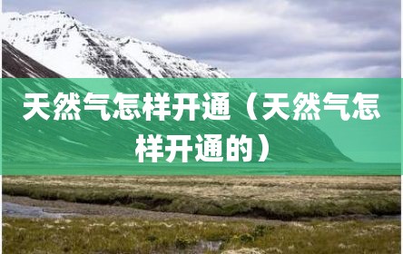 天然气怎样开通（天然气怎样开通的）