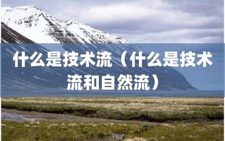 什么是技术流（什么是技术流和自然流）