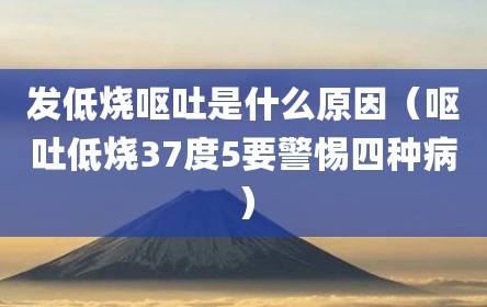 发低烧呕吐是什么原因（呕吐低烧37度5要警惕四种病）