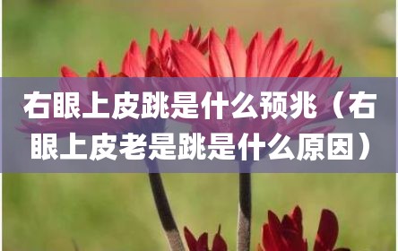 右眼上皮跳是什么预兆（右眼上皮老是跳是什么原因）