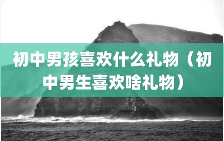 初中男孩喜欢什么礼物（初中男生喜欢啥礼物）