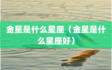 金星是什么星座（金星是什么星座好）
