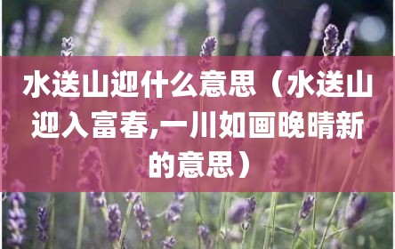 水送山迎什么意思（水送山迎入富春,一川如画晚晴新的意思）