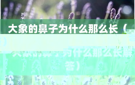 大象的鼻子为什么那么长（大象的鼻子为什么那么长解答）
