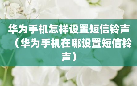 华为手机怎样设置短信铃声（华为手机在哪设置短信铃声）