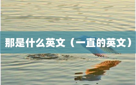 那是什么英文（一直的英文）