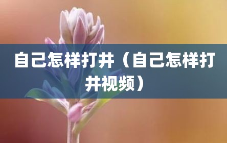 自己怎样打井（自己怎样打井视频）