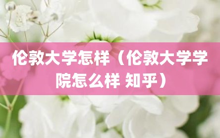 伦敦大学怎样（伦敦大学学院怎么样 知乎）
