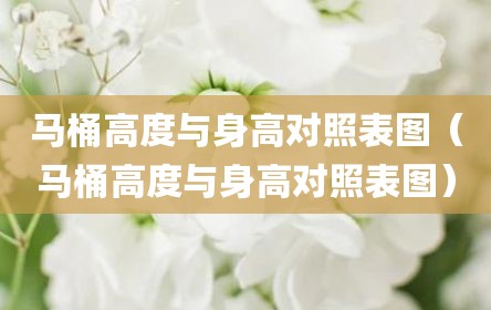 马桶高度与身高对照表图（马桶高度与身高对照表图）