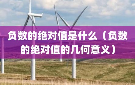负数的绝对值是什么（负数的绝对值的几何意义）