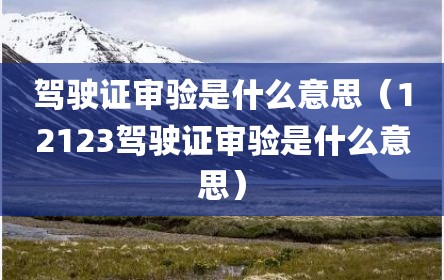 驾驶证审验是什么意思（12123驾驶证审验是什么意思）