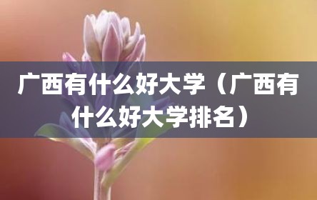 广西有什么好大学（广西有什么好大学排名）