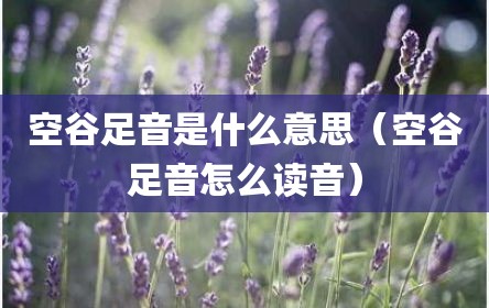 空谷足音是什么意思（空谷足音怎么读音）