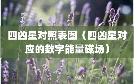 四凶星对照表图（四凶星对应的数字能量磁场）