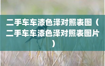二手车车漆色泽对照表图（二手车车漆色泽对照表图片）