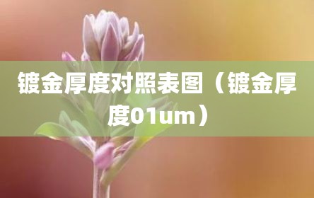 镀金厚度对照表图（镀金厚度01um）