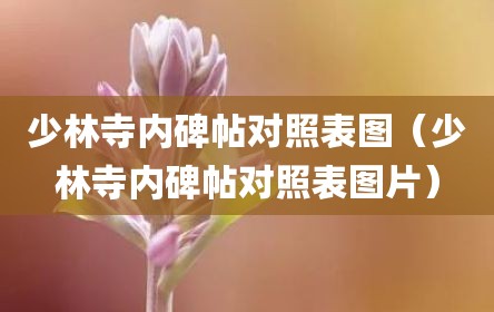 少林寺内碑帖对照表图（少林寺内碑帖对照表图片）