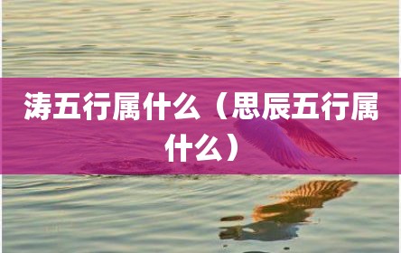 涛五行属什么（思辰五行属什么）