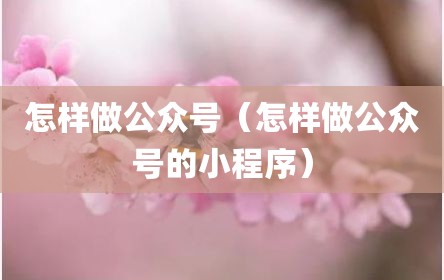 怎样做公众号（怎样做公众号的小程序）