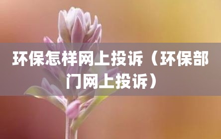 环保怎样网上投诉（环保部门网上投诉）