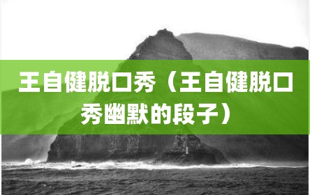 王自健脱口秀（王自健脱口秀幽默的段子）