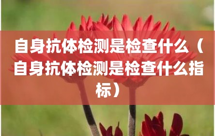 自身抗体检测是检查什么（自身抗体检测是检查什么指标）