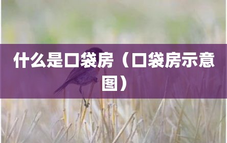 什么是口袋房（口袋房示意图）