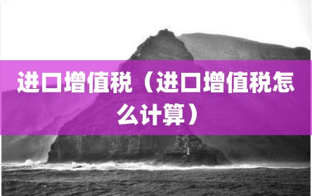 进口增值税（进口增值税怎么计算）