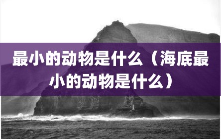 最小的动物是什么（海底最小的动物是什么）
