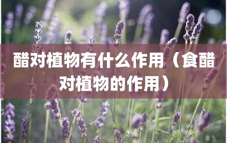 醋对植物有什么作用（食醋对植物的作用）