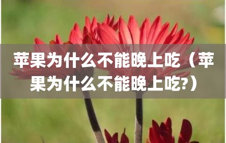 苹果为什么不能晚上吃（苹果为什么不能晚上吃?）