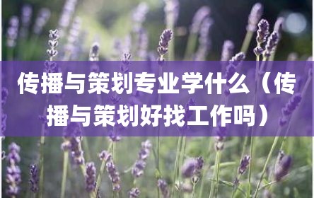 传播与策划专业学什么（传播与策划好找工作吗）