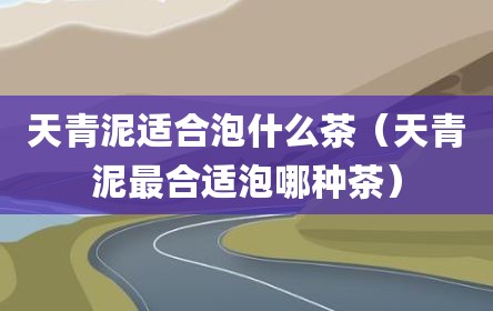 天青泥适合泡什么茶（天青泥最合适泡哪种茶）