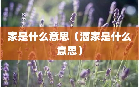 家是什么意思（洒家是什么意思）
