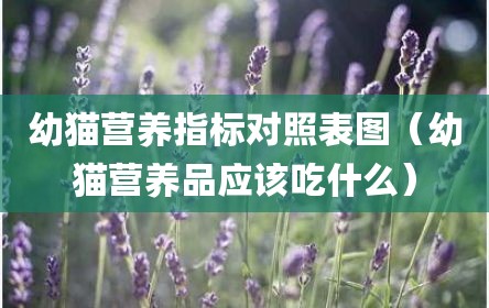 幼猫营养指标对照表图（幼猫营养品应该吃什么）
