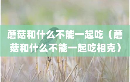 蘑菇和什么不能一起吃（蘑菇和什么不能一起吃相克）