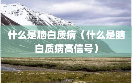 什么是脑白质病（什么是脑白质病高信号）